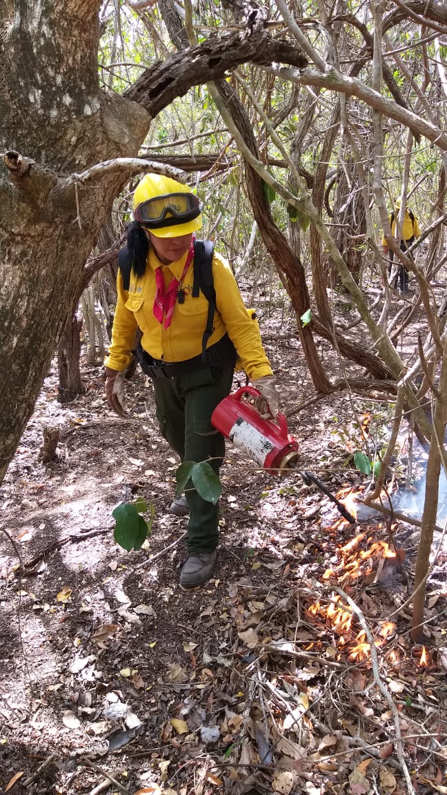 WhatsApp Image 2020-04-06 at 15_37_39