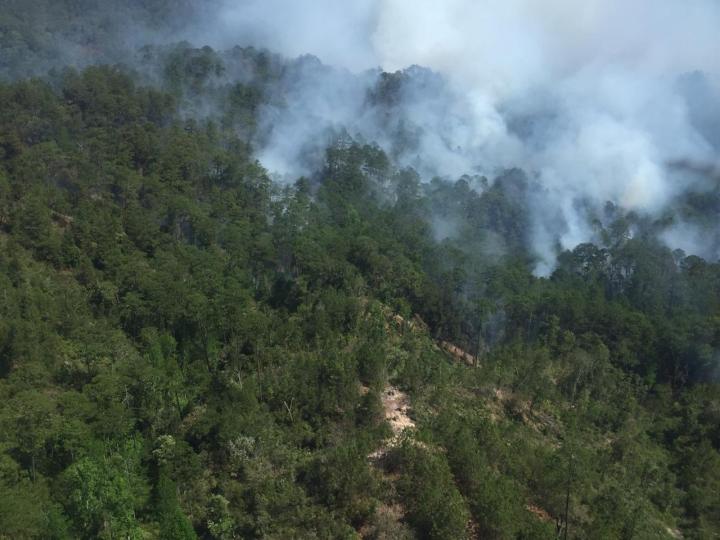 WhatsApp Image 2020-04-07 at 20_04_44