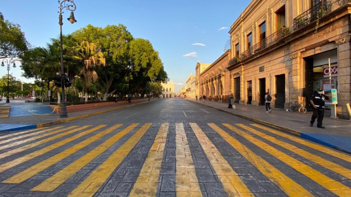 WhatsApp Image 2020-06-06 at 9_43_46 PM-1