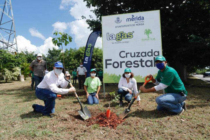 WhatsApp Image 2020-07-22 at 5_17_52 PM